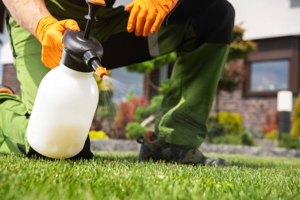 Insect Control in Barnhart, MO