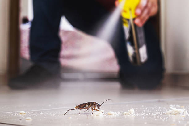 Reliable Barnhart, MO Pest Control Solutions