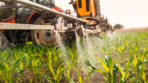 Best Mosquito Control Services  in Barnhart, MO